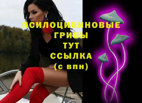 МДПВ Богородск
