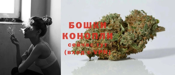 МДПВ Богородск