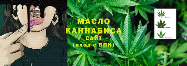 МДПВ Богородск