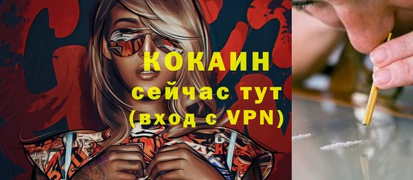 МДПВ Богородск