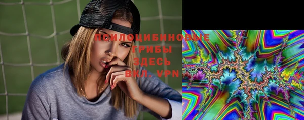 МДПВ Богородск
