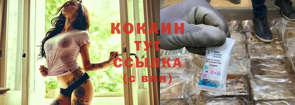МДПВ Богородск